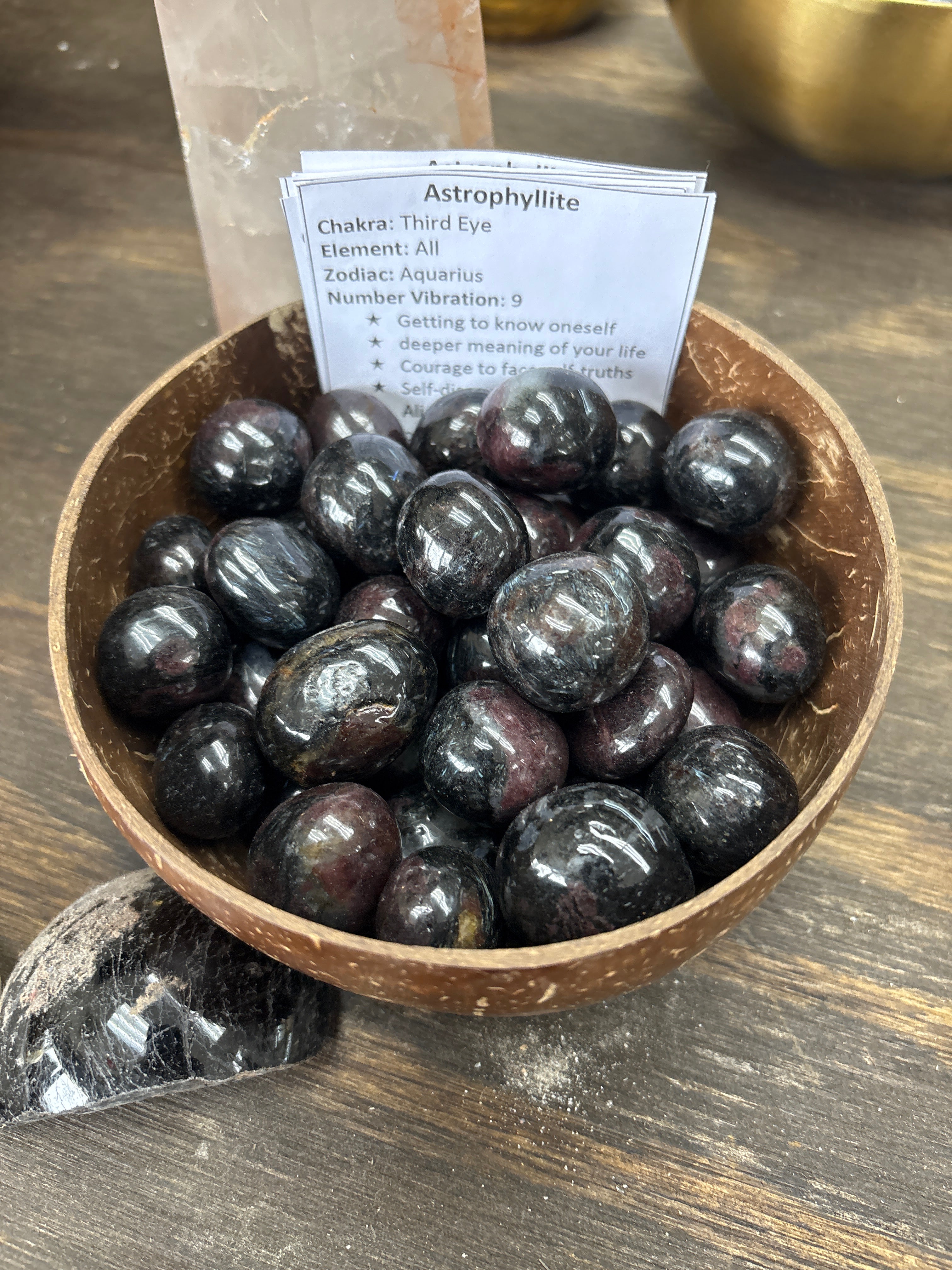Astrophyllite