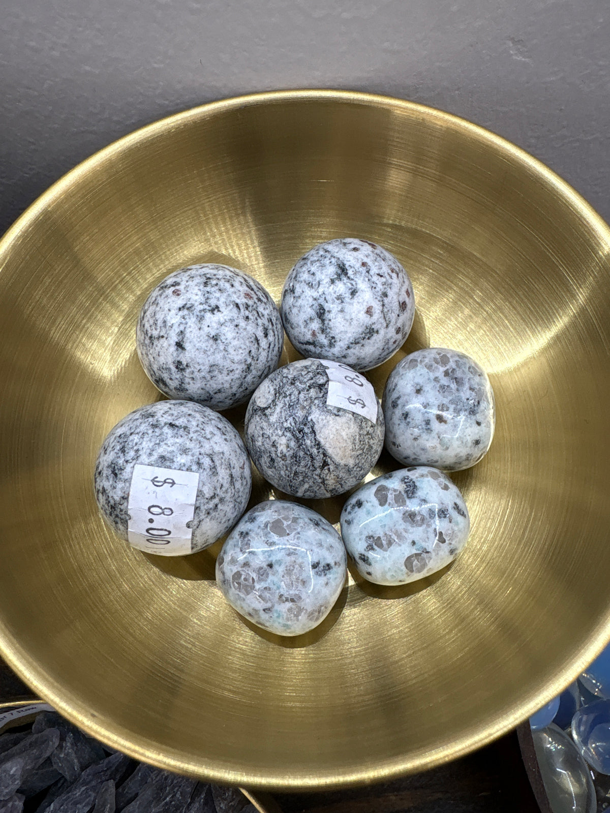 Kiwi Jasper